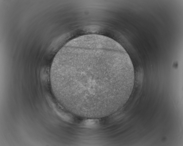 X0000115650126200912221339