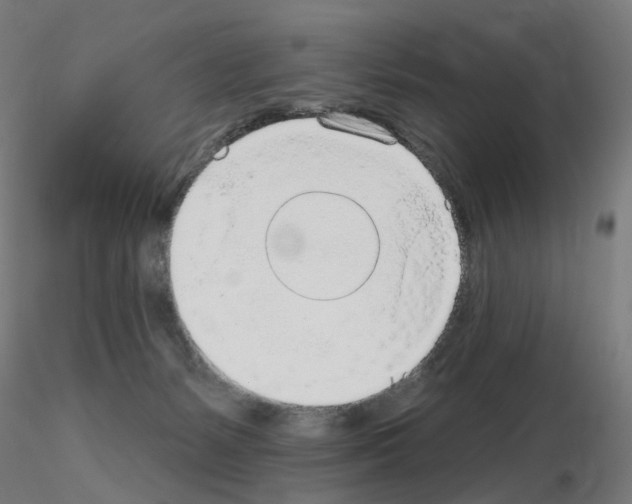 X0000115650127200912221339