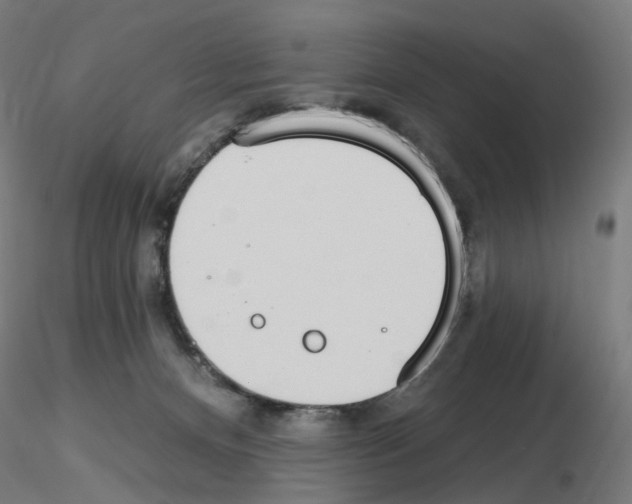 X0000115650128200912221339
