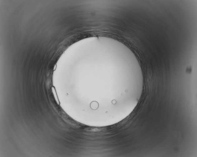 X0000115650129200912221339