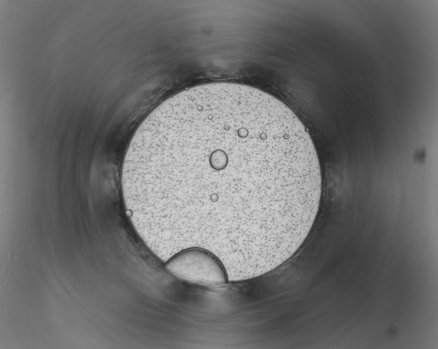 X0000115650130200912221339