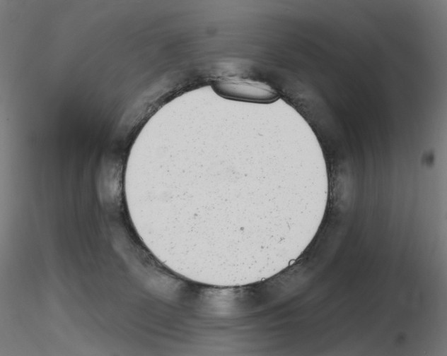 X0000115650131200912221339
