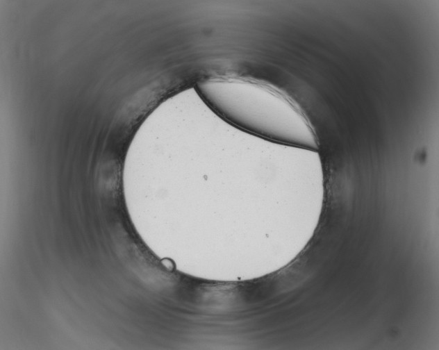 X0000115650132200912221339