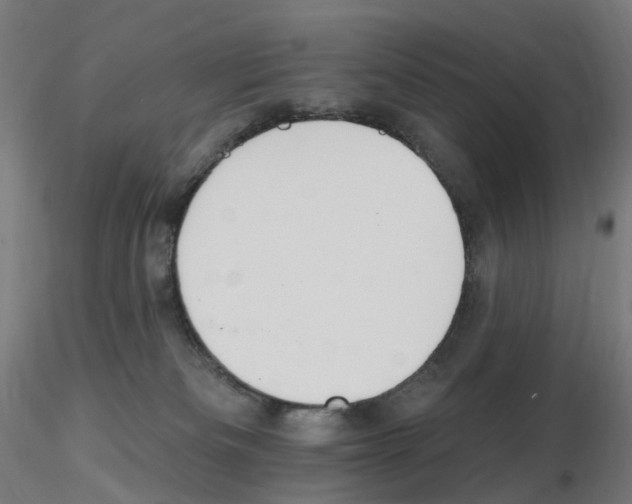 X0000115650133200912221339