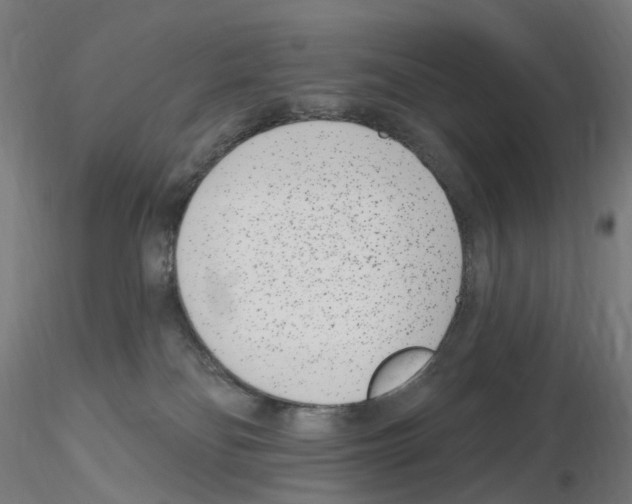 X0000115650134200912221339