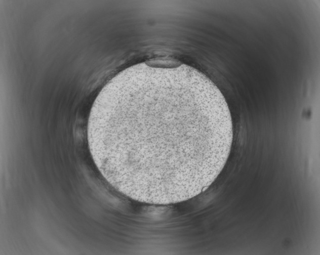 X0000115650135200912221339