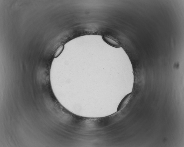X0000115650136200912221339