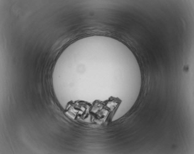 X0000115650137200912221339