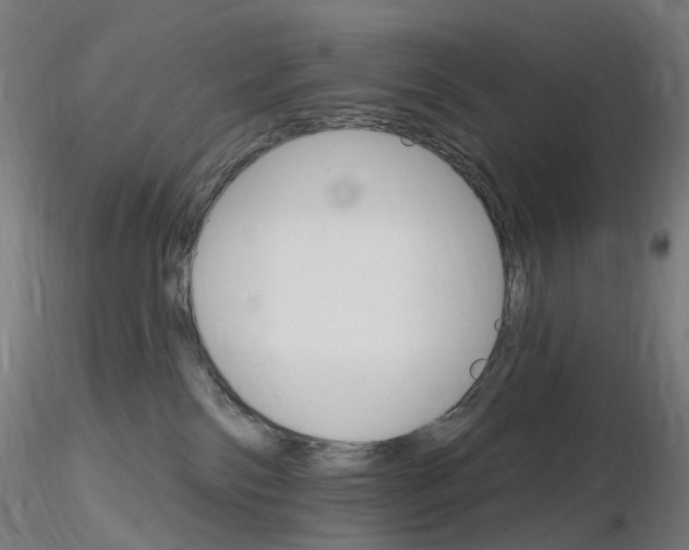 X0000115650138200912221339