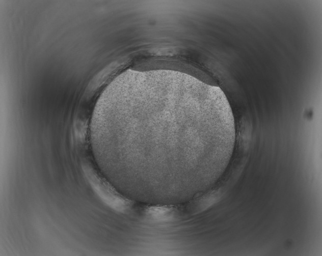 X0000115650139200912221339