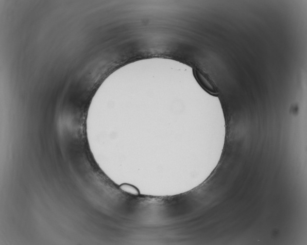 X0000115650140200912221339