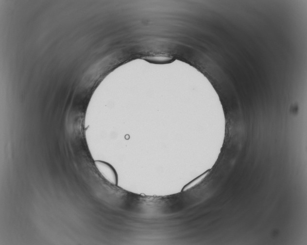 X0000115650141200912221339