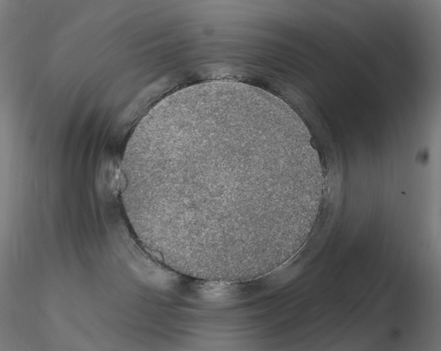 X0000115650142200912221339