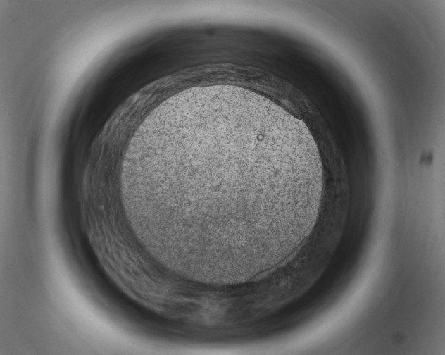 X0000115650143200912221339