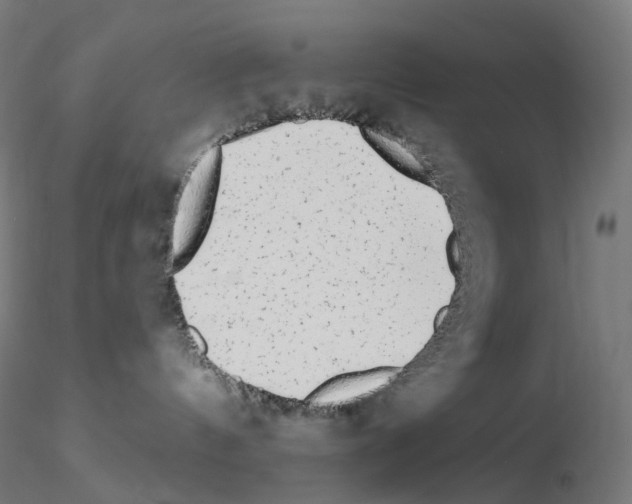 X0000115650144200912221339