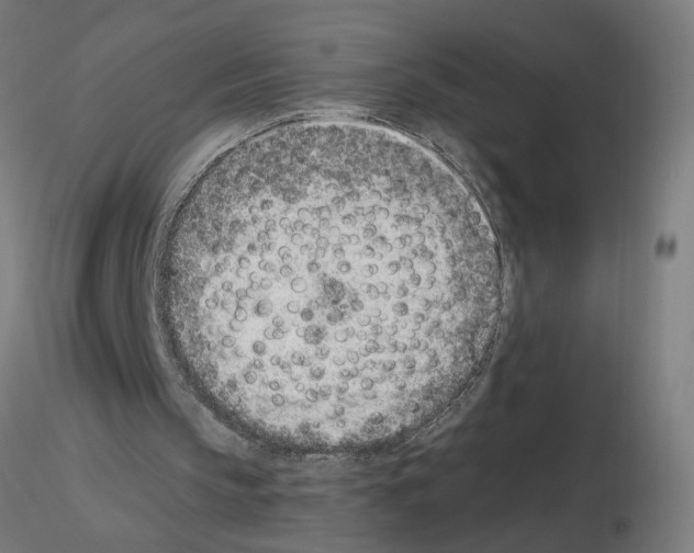 X0000115650145200912221338