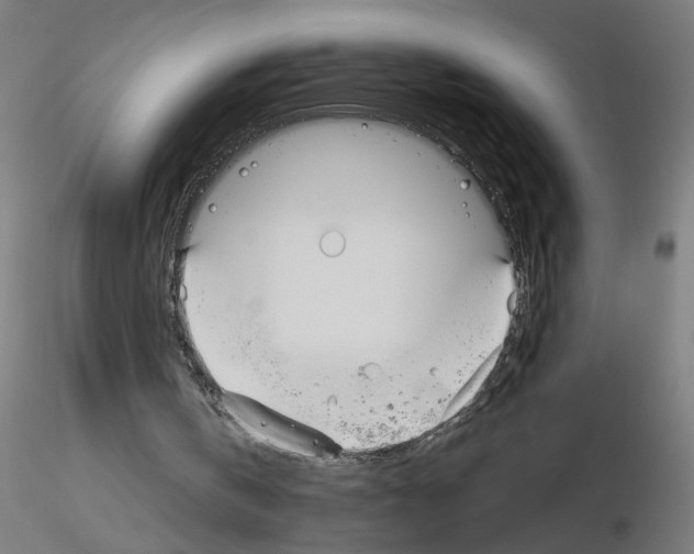X0000115650146200912221338