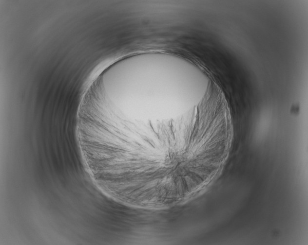 X0000115650147200912221338