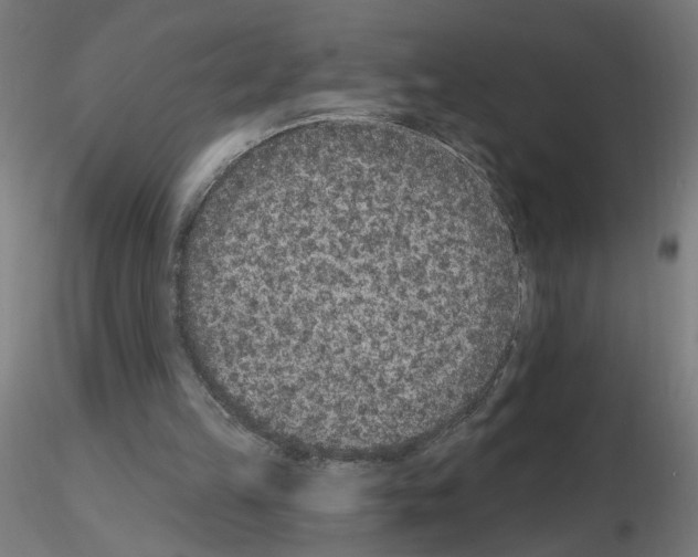 X0000115650149200912221338