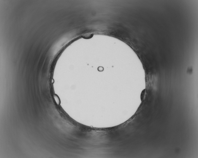 X0000115650150200912221338