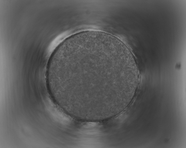 X0000115650151200912221338