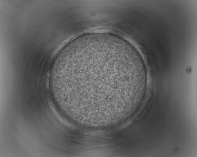 X0000115650153200912221338