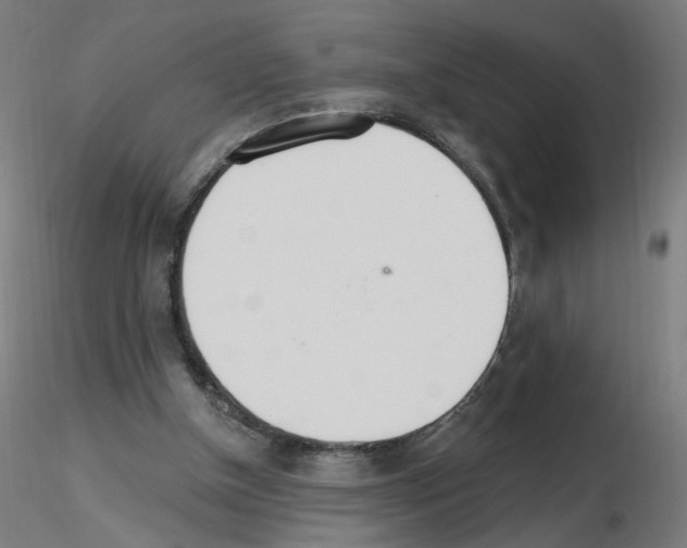 X0000115650154200912221338