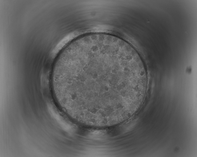 X0000115650155200912221338