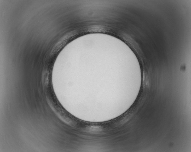 X0000115650157200912221338