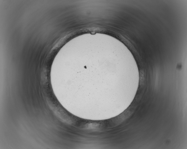 X0000115650158200912221338