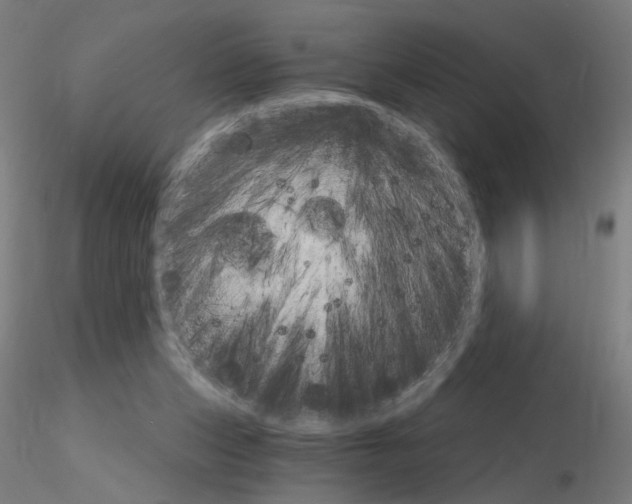 X0000115650159200912221338