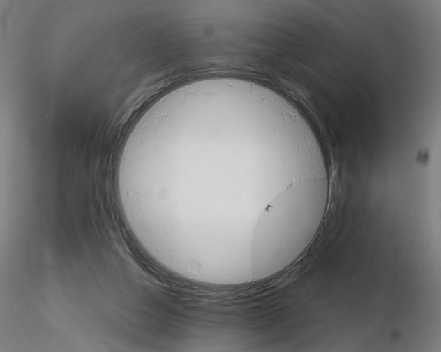 X0000115650162200912221338