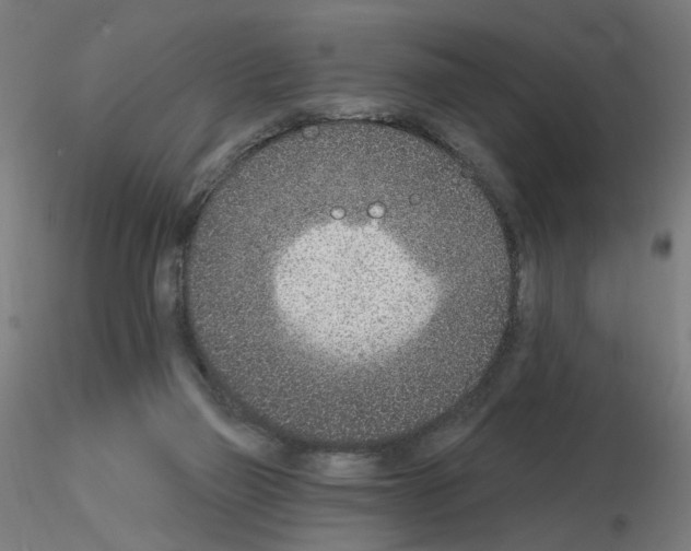 X0000115650165200912221338