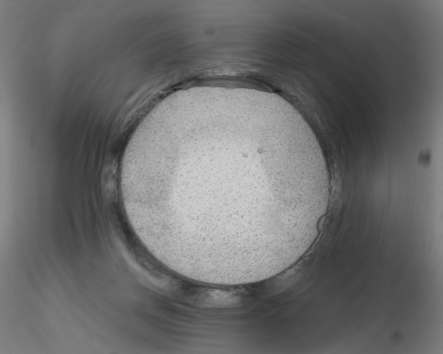 X0000115650166200912221338