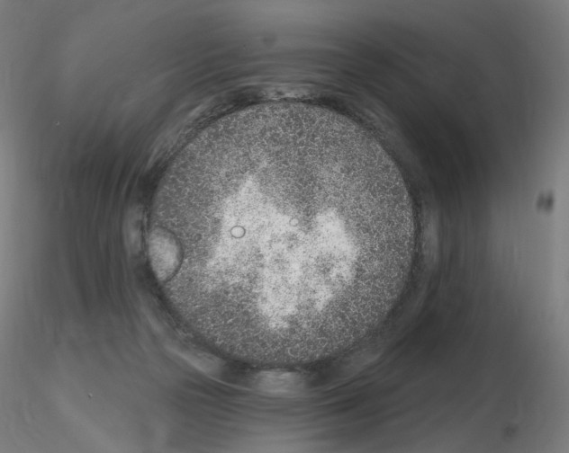 X0000115650169200912221338