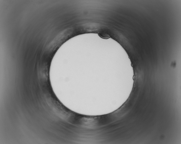 X0000115650170200912221338