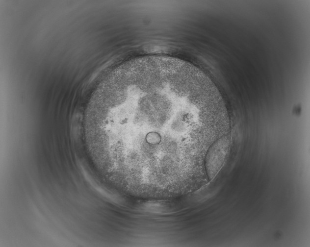 X0000115650171200912221338