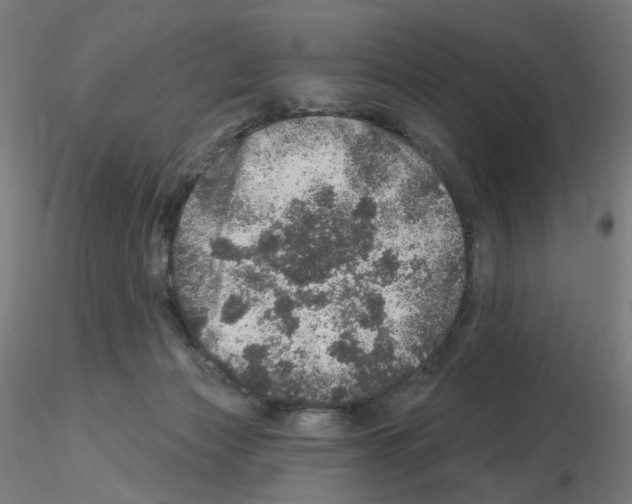 X0000115650173200912221338