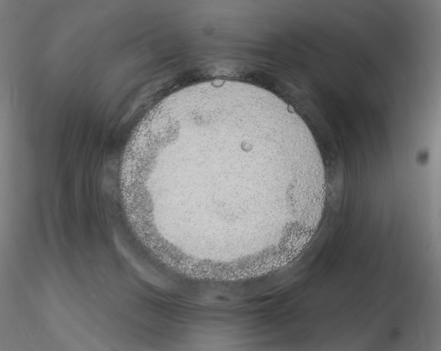 X0000115650175200912221338