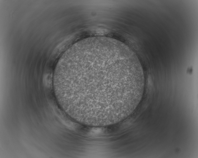 X0000115650177200912221338