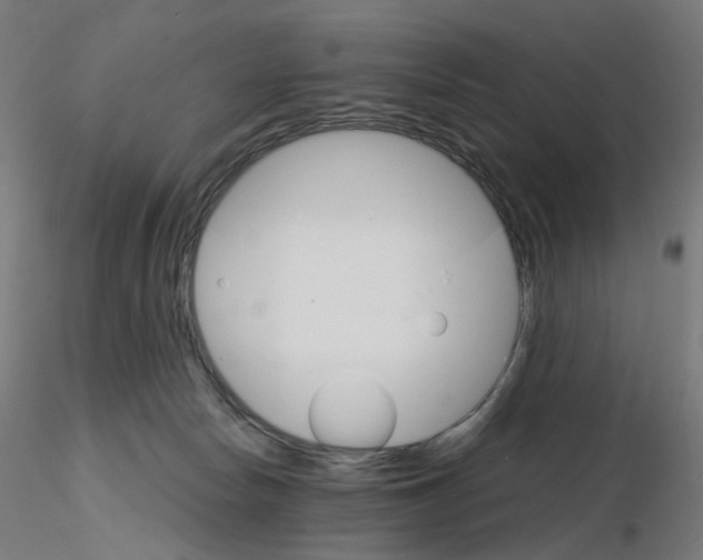 X0000115650178200912221338