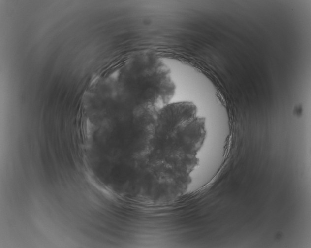 X0000115650179200912221338