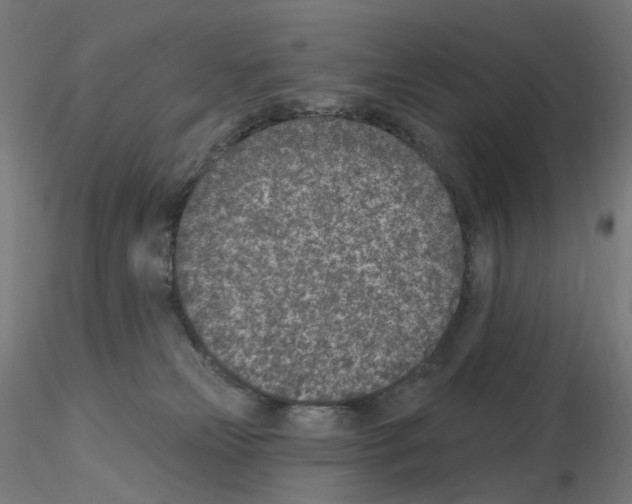 X0000115650181200912221339