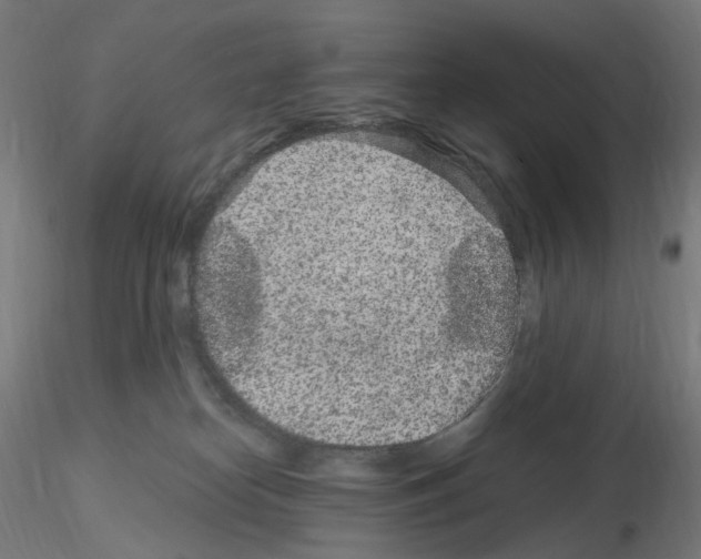 X0000115650182200912221339