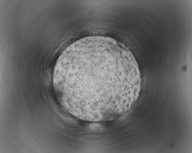 X0000115650183200912221339