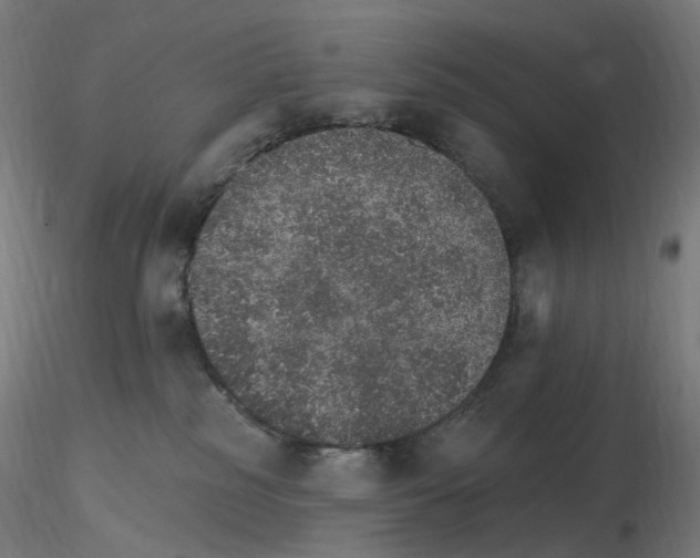 X0000115650185200912221339