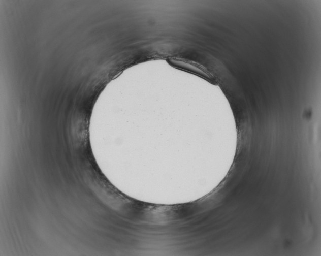 X0000115650186200912221339