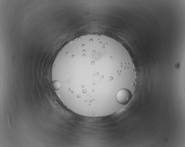 X0000115650187200912221339