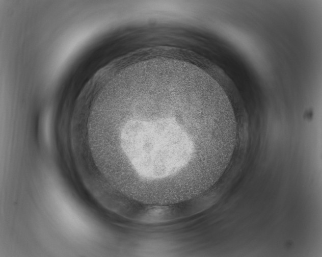 X0000115650189200912221339