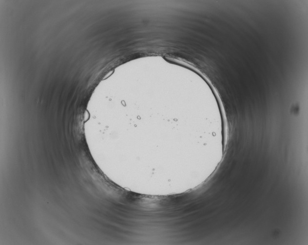 X0000115650190200912221339